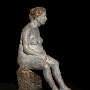 Photogallery sculture